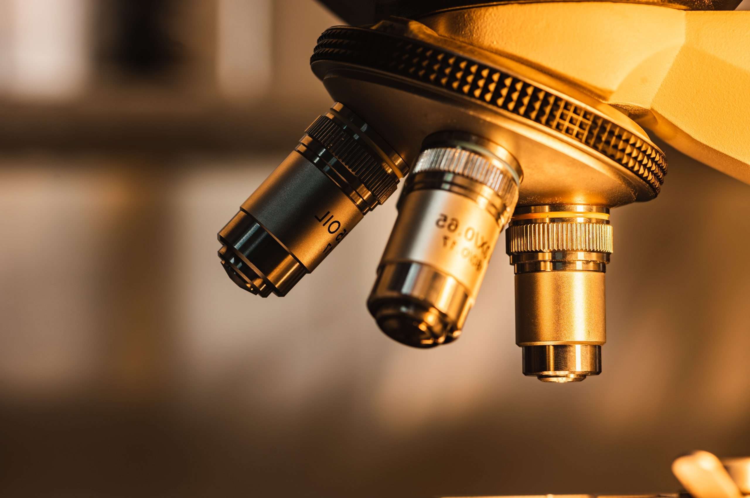 professional microscope in laboratory, science equipment and medical tools to looking micro scale, microbiology and medicine research in laboratory with microscope