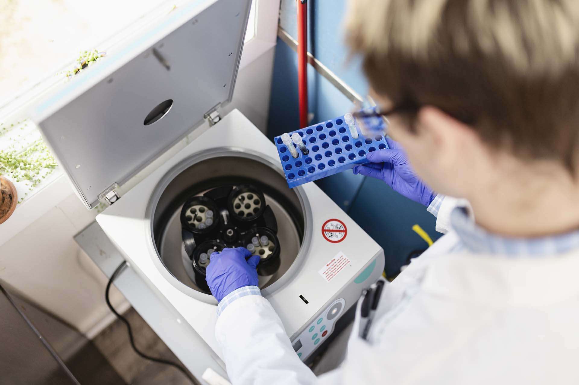 Hayes_Microb_Feb2025_024