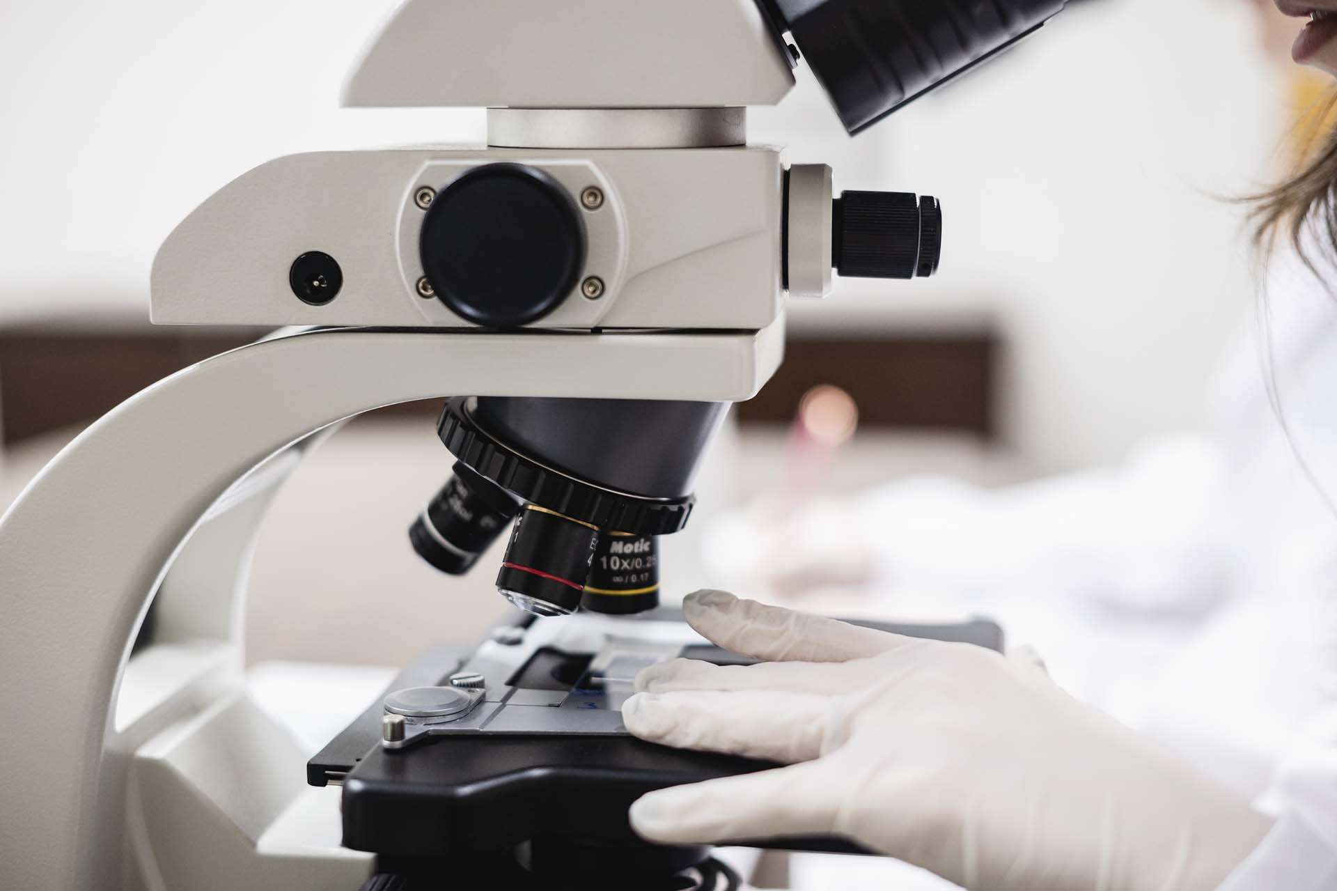 Hayes_Microb_Feb2025_038