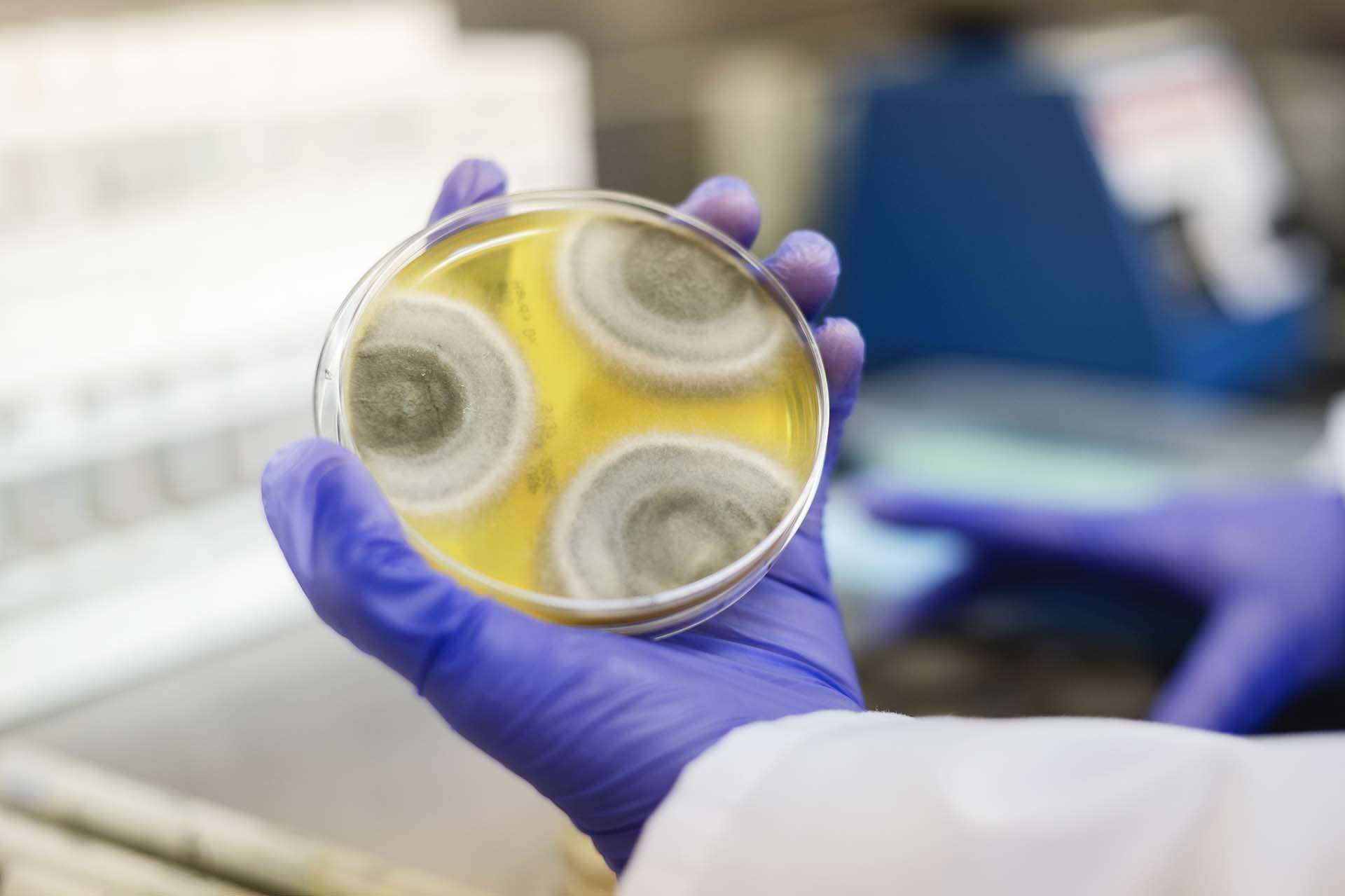 Hayes_Microb_Feb2025_085