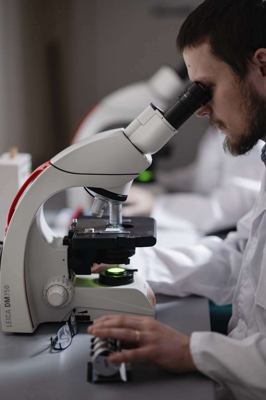 Hayes_Microb_Feb2025_175