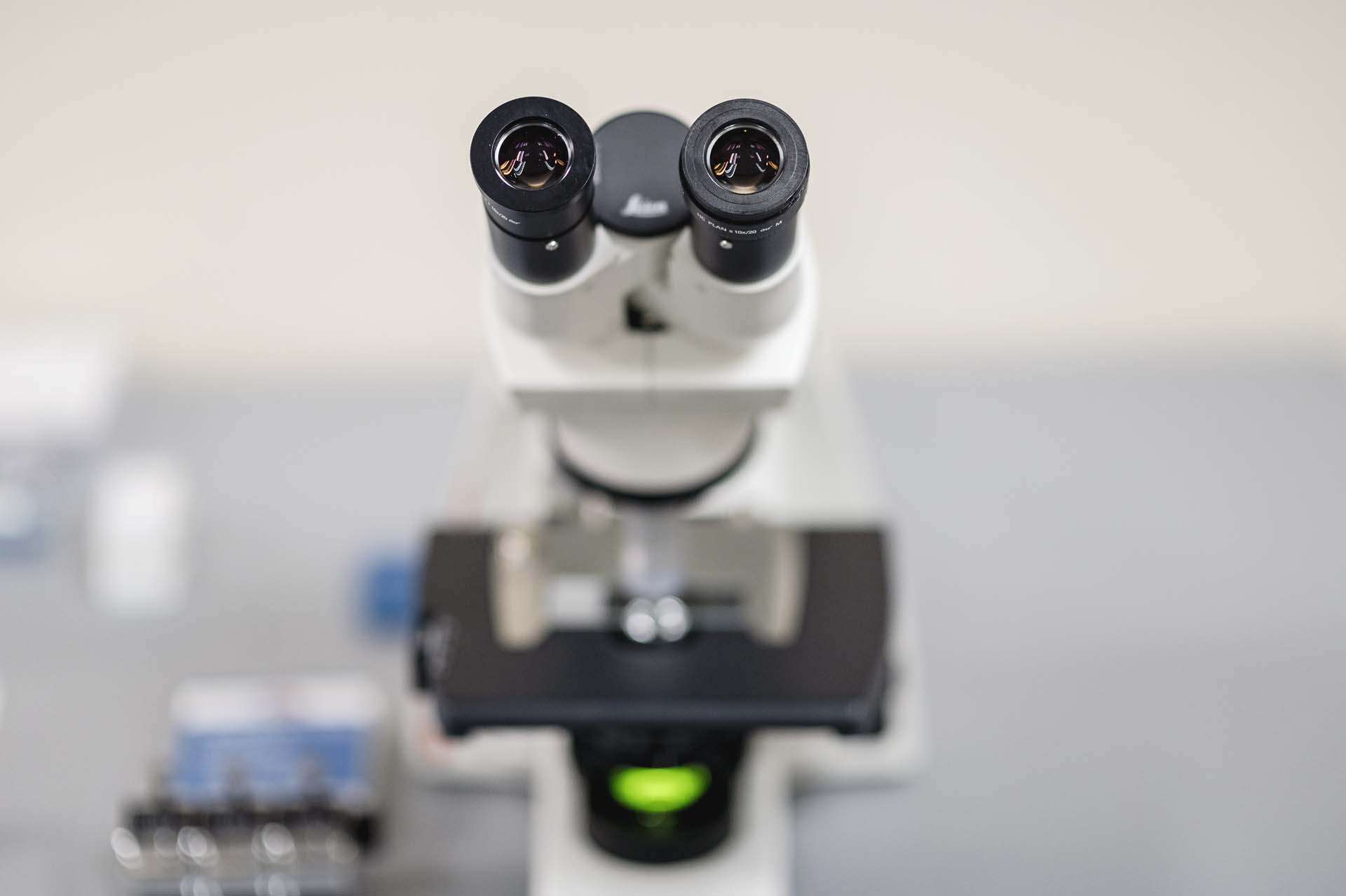 Hayes_Microb_Feb2025_190